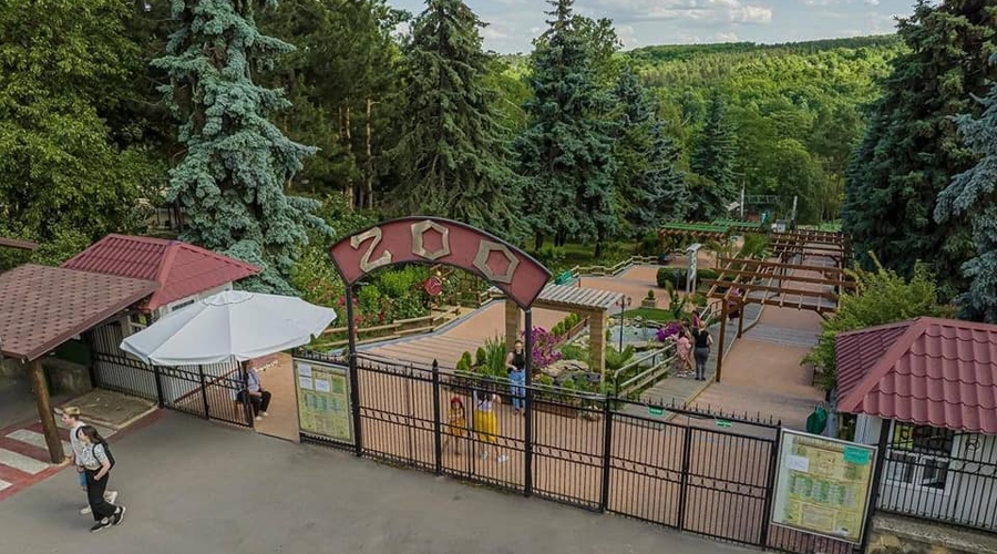 9 августа отмечают Международный день зоопарков.