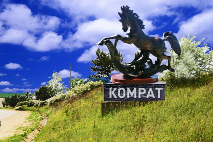 У въeзда в Kомрат устaновят памятник чёрной лошади