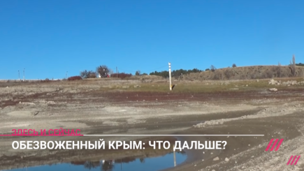 Крым без воды. Как выживает полуостров на пороге экологической катастрофы