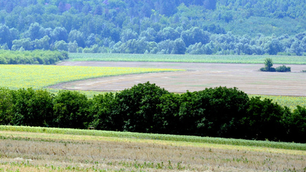 27 августа - 31 годовщина Независимости Молдовы!