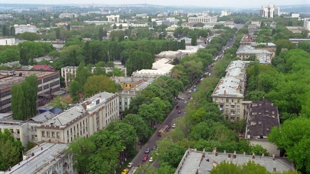 Столица осталась без хвойных деревьев и берёз