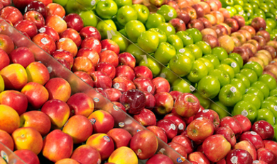 «Фермерам из РМ нужно инвестировать в технологии, для того, чтобы наши фрукты покупались в ЕС»