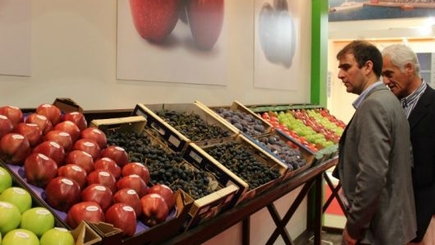 Агропроизводители с обоих берегов Днестра совершают ознакомительный визит в Голландию