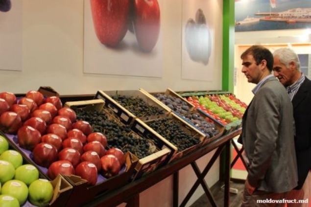 Агропроизводители с обоих берегов Днестра совершают ознакомительный визит в Голландию