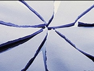 Новая стратегия Додона – противостояние и раскол общества