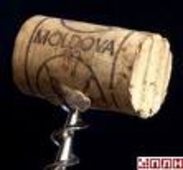 Молдавские вина появится в российской торговой сети только в начале будущего года, сообщает московское издание