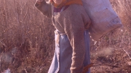 Население Молдовы стареет