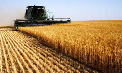 ВБ дал рекомендации сельскому хозяйству Молдовы