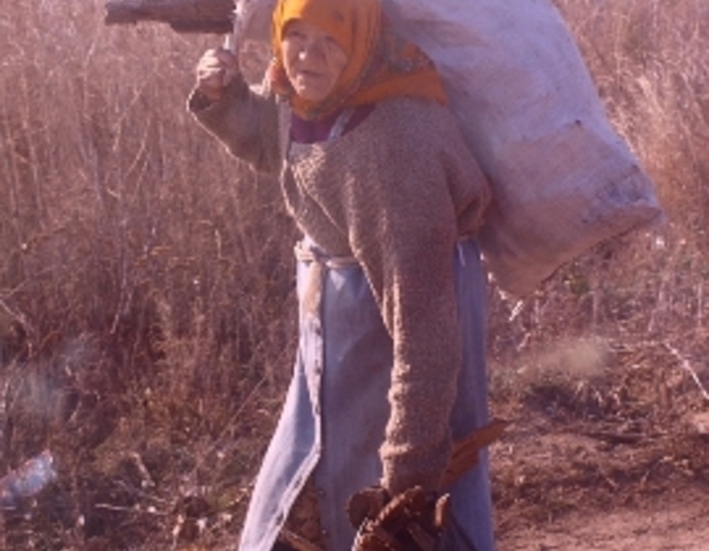 Население Молдовы стареет