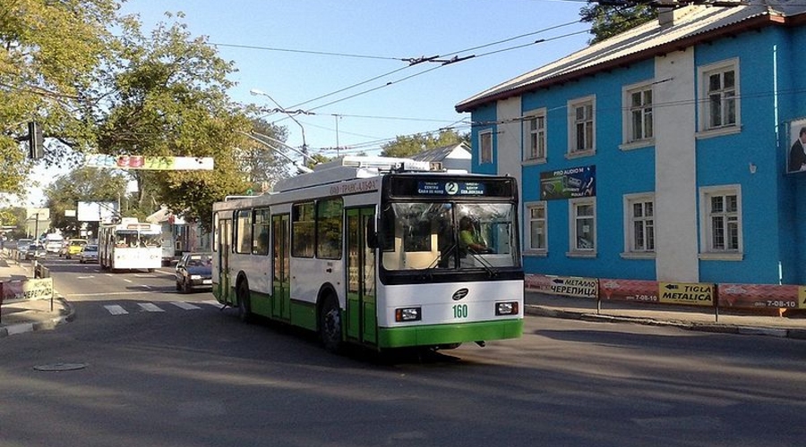 Бестолковщина