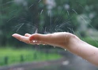 Аномальную жару в Молдове разбавят дожди и грозы