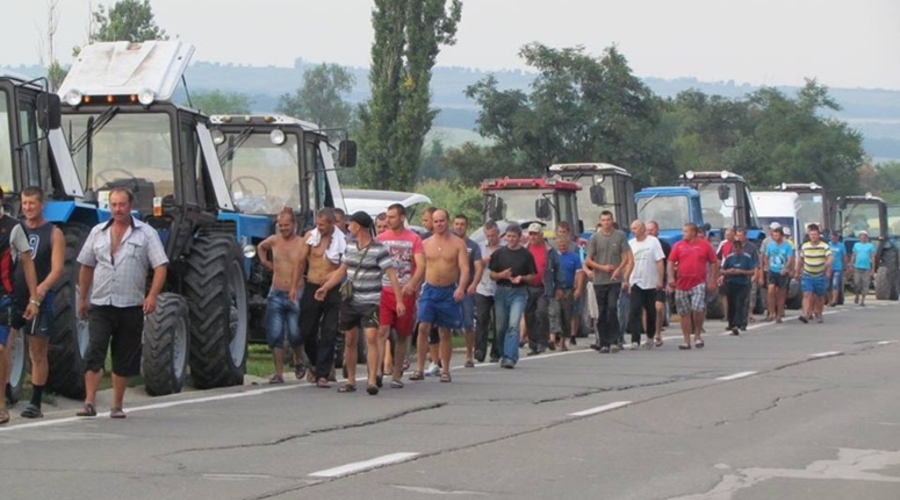 Фермеры уже могут обращаться за компенсациями
