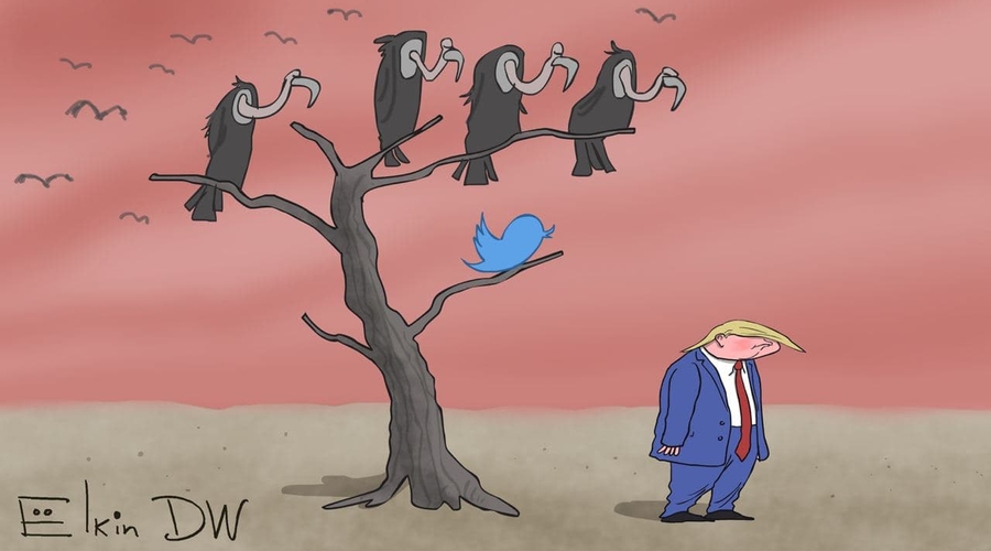 Пригвоздить Твиттер к столбу позора!