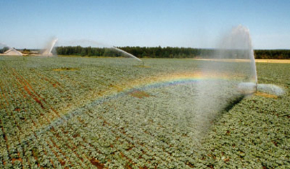 Министр сельского хозяйства обратился к Европейской комиссии за помощью во внедрении стратегии развития агропромышленного сектора