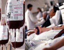 Столичные сотрудники милиции сдают кровь для пострадавших в Южной Осетии