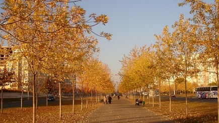 Молдову ждет потепление