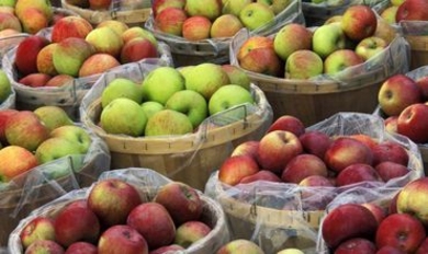 Россия активно закупает яблоки из Молдовы