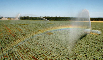 Министр сельского хозяйства обратился к Европейской комиссии за помощью во внедрении стратегии развития агропромышленного сектора