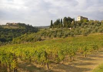 Продается Кишиневский винный комбинат Naţional Vin