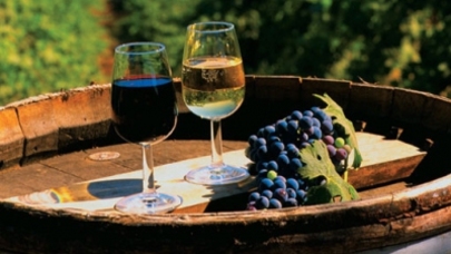 Виноделы несут колоссальные убытки из-за эмбарго