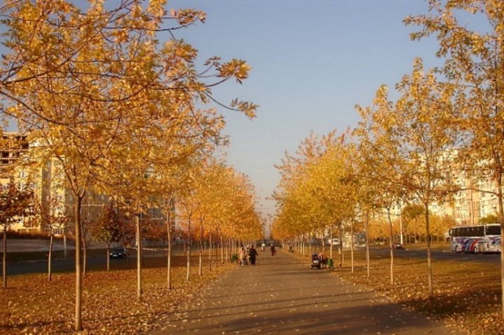 Молдову ждет потепление