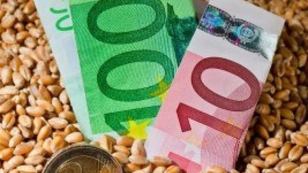 Молдове удалось утроить экспорт зерновых