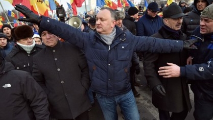 Волк в овечьей шкуре: Игоря Додона раскритиковали в статье для Intellinews