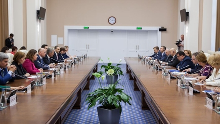 Правительство рассказывает о том, что не захотела говорить Делегация ЕС в своём пресс-релизе