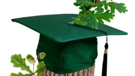 Как   проголосуют на парламентских выборах молдавские студенты?