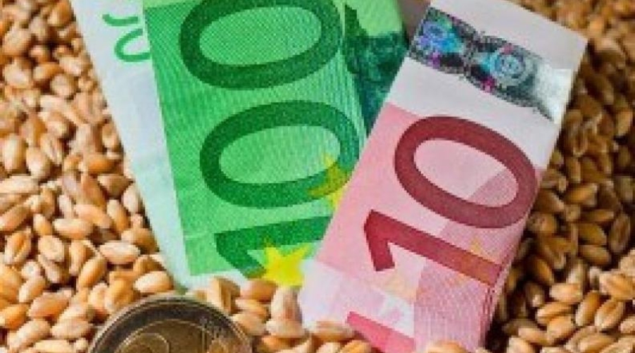 Молдове удалось утроить экспорт зерновых