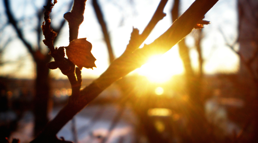 В Молдове значительно потеплеет