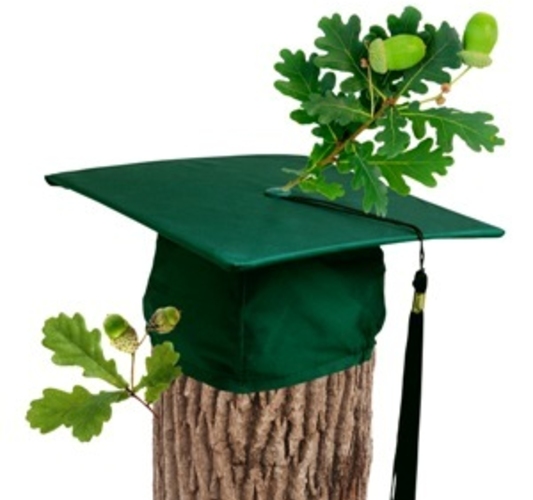 Как   проголосуют на парламентских выборах молдавские студенты?