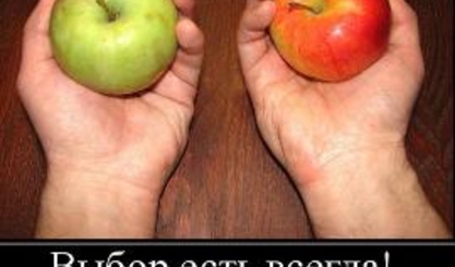 Выборы продолжаются. В трех населенных пунктах выбрали мэров. На очереди Ниспоренский район…