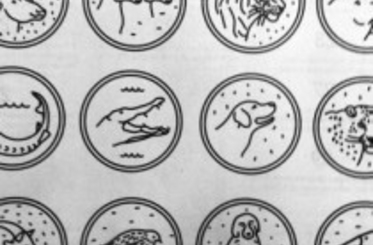 Двенадцать друзей Путина