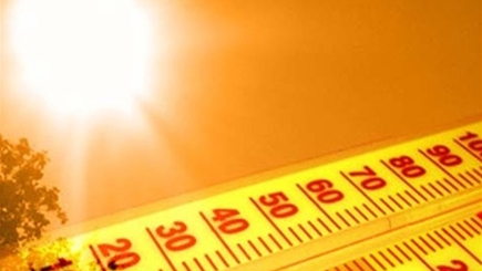 В Молдове объявлена высокая пожарная опасность