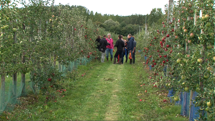 В садоводческий сектор будет инвестировано 120 миллионов евро