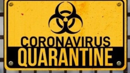 Власти самопровозглашенного ПМР вводят карантин