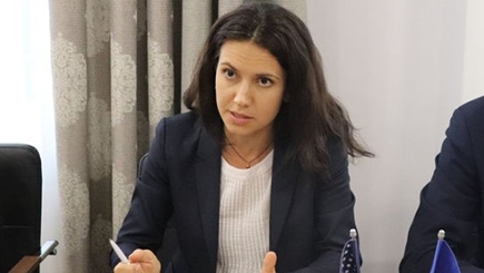 Виктор Шелин: Стамате обманула общественность