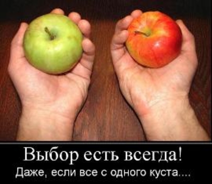 Выборы продолжаются. В трех населенных пунктах выбрали мэров. На очереди Ниспоренский район…