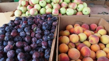 Молдавские компании возвращаются на российский рынок