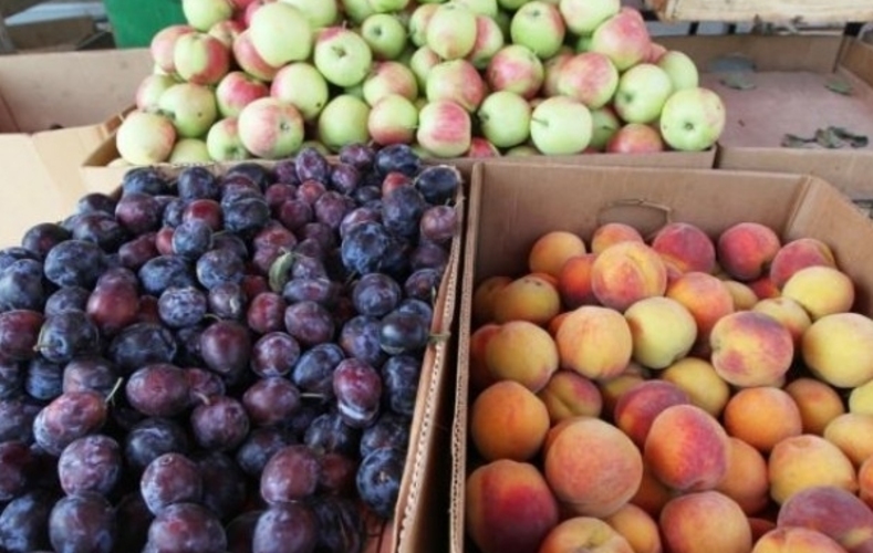 Молдавские компании возвращаются на российский рынок