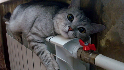 С завтрашнего дня начнется отопительный сезон