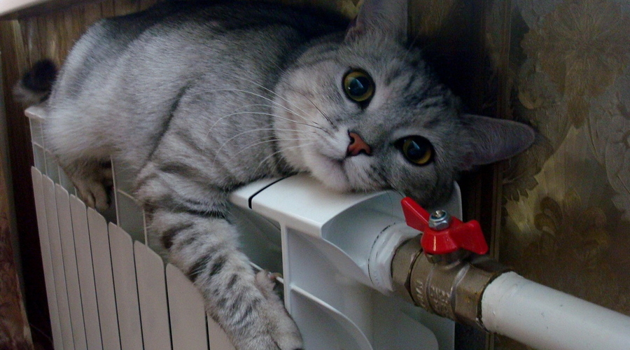 С завтрашнего дня начнется отопительный сезон