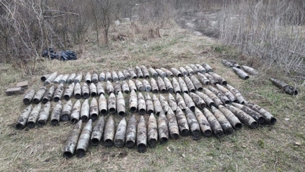 Из-за агрессии РФ в Украине 21 тысяча км² загрязнены минами – Минобороны в ОБСЕ