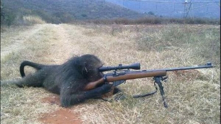 «OMEGA» и Александр Петков:  «обезьяны  с  гранатой» или обслуга медийной империи «Кукловода»?