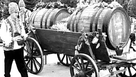 Контрольный выстрел