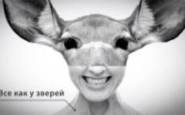 Звериный оскал патриотизма