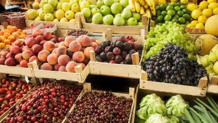 Молдавские сельхоз производители освоили новые рынки сбыта для своей продукции