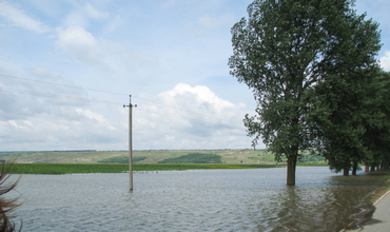 Некоторые пункты пропуска на молдо-украинской границе временно закрыты