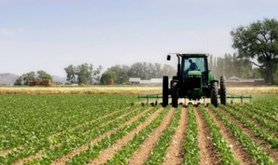 Ратифицировано Соглашение о финансировании программы ENPARD